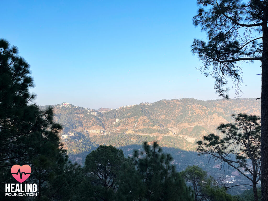 view